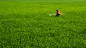 Máy phun thuốc AP 3