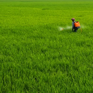 Máy phun thuốc AP 3