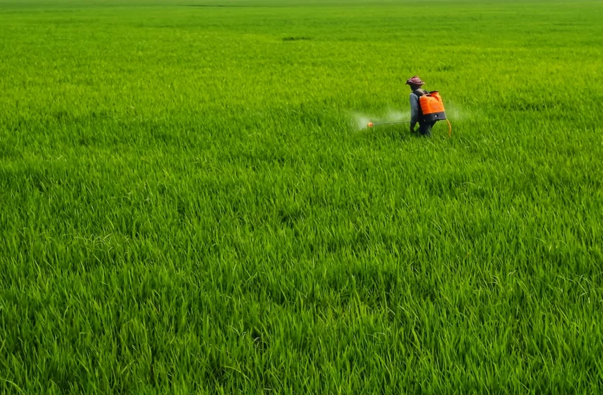 Câu chuyện khách hàng 1