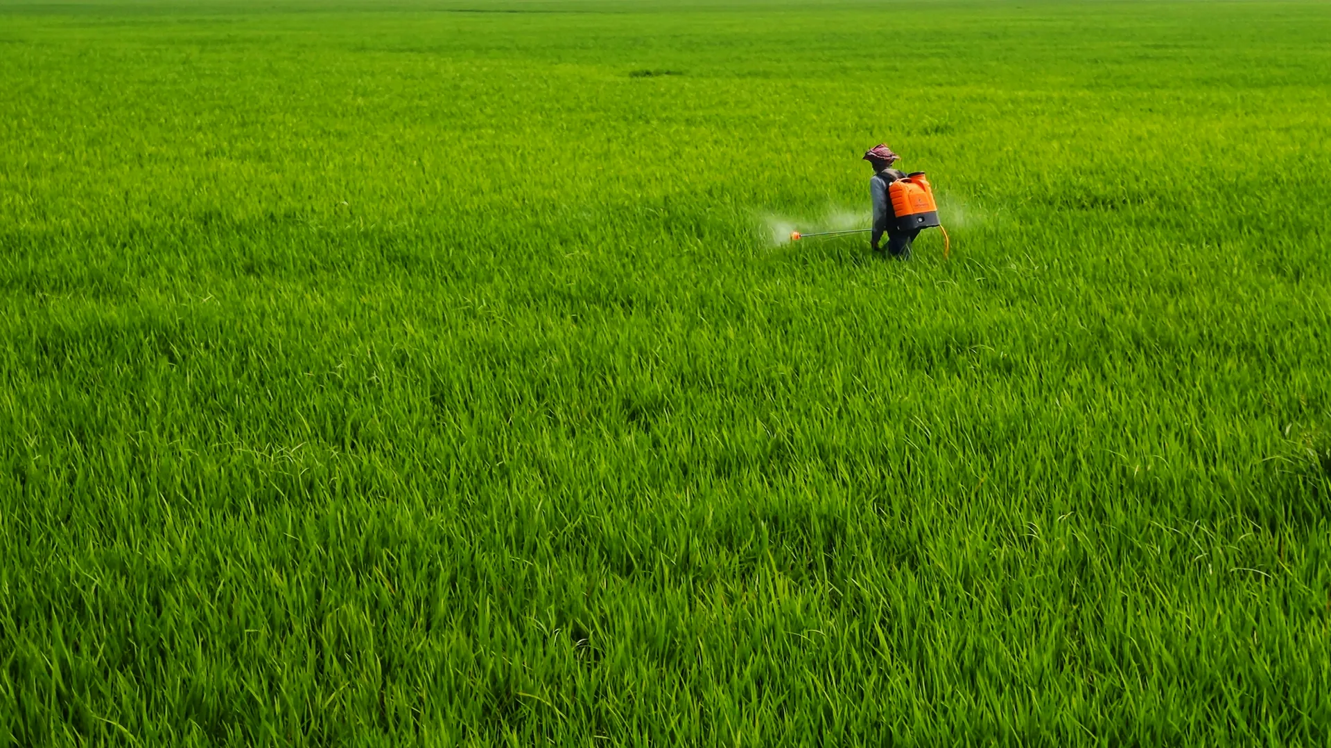 Câu chuyện khách hàng 1
