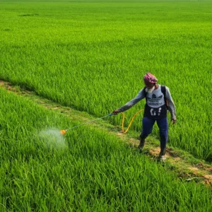 Máy phun thuốc AP 2