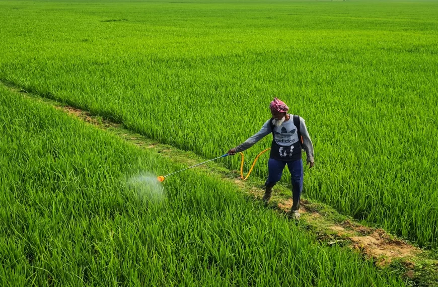 Câu chuyện khách hàng 2