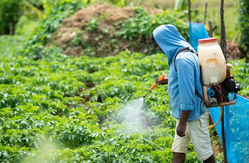 Câu chuyện khách hàng 3